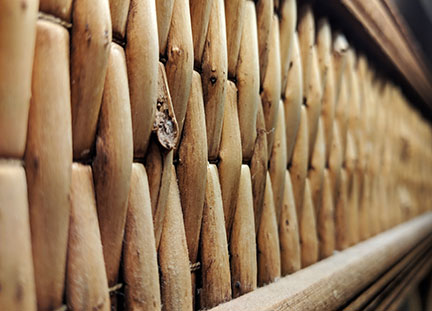 bamboo